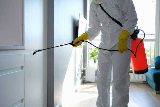Professional Mold Removal in Tower Lakes, IL