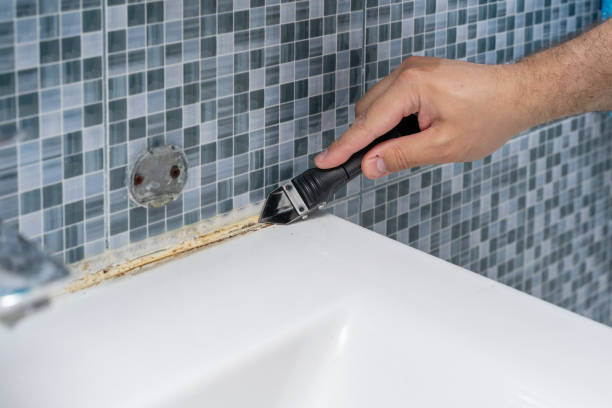 Best Professional Mold Removal  in Tower Lakes, IL