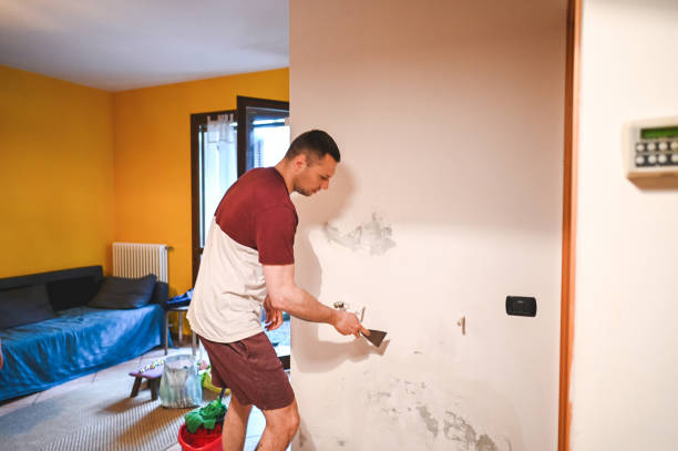 Best Mold Testing and Removal  in Tower Lakes, IL